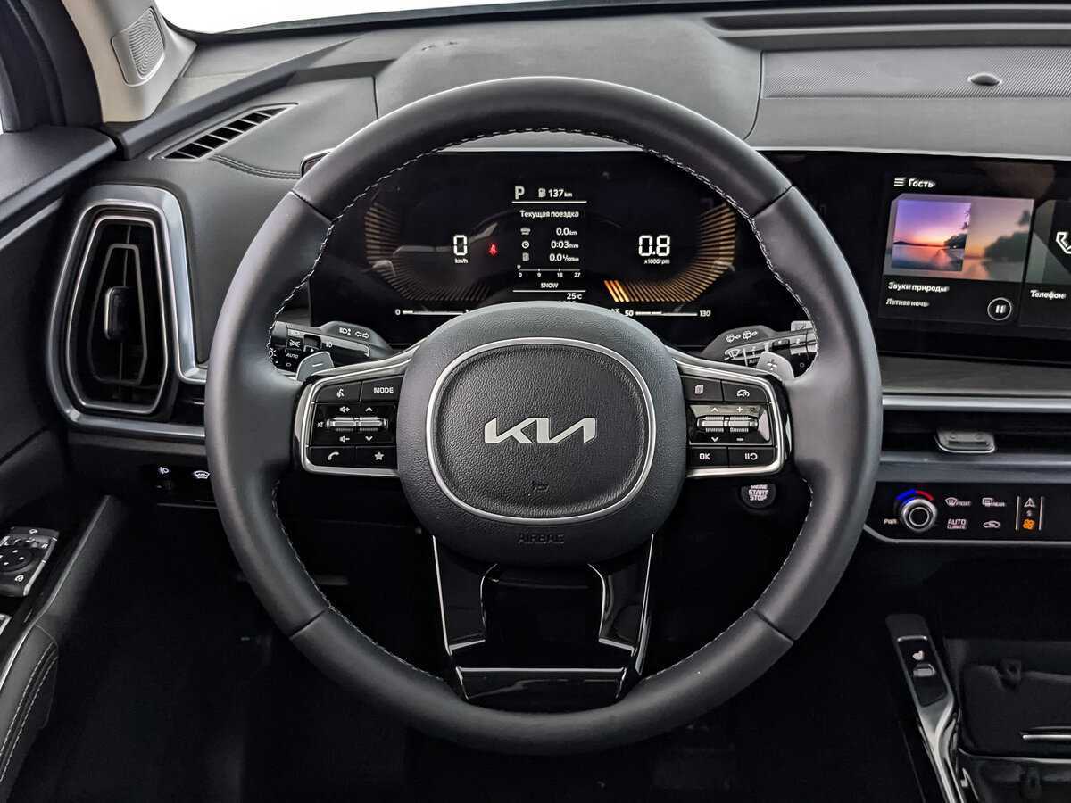 Kia Sorento с пробегом — 2024 год. Фото: #17