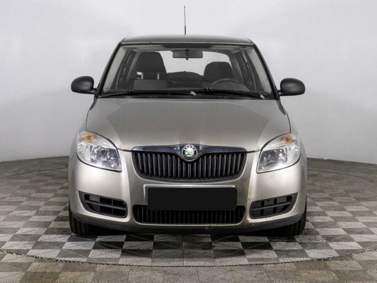 Skoda Fabia с пробегом — 2009 год. Фото: #1