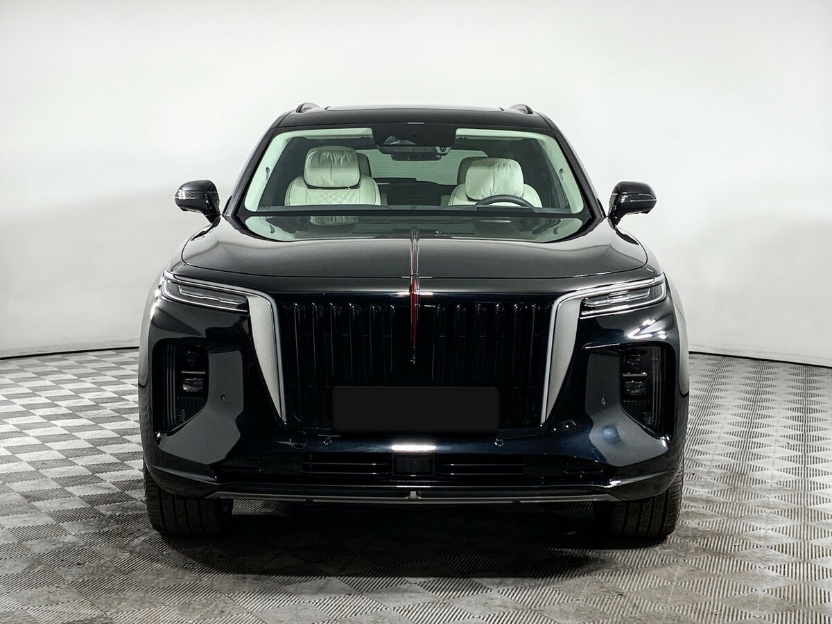 Hongqi E-HS9 с пробегом — 2023 год. Фото: #1