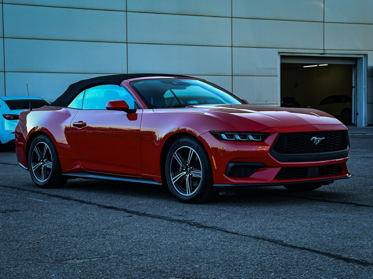 Ford Mustang с пробегом — 2024 год. Фото: #1