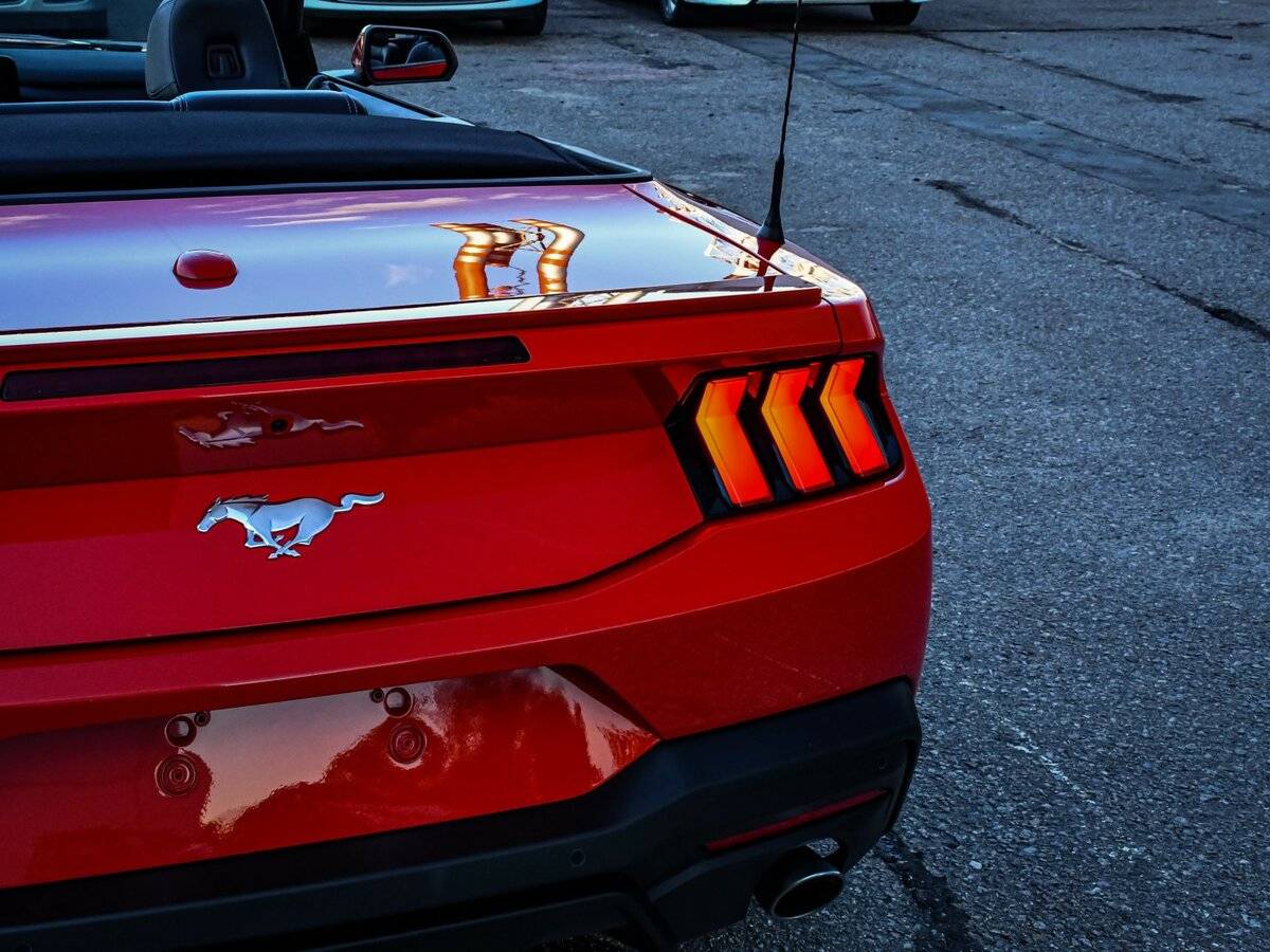 Ford Mustang с пробегом — 2024 год. Фото: #21