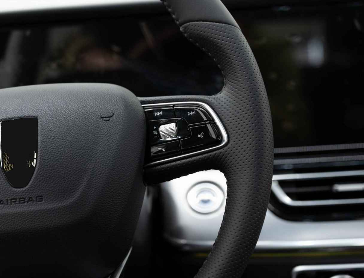 Hongqi HS5 с пробегом — 2023 год. Фото: #15