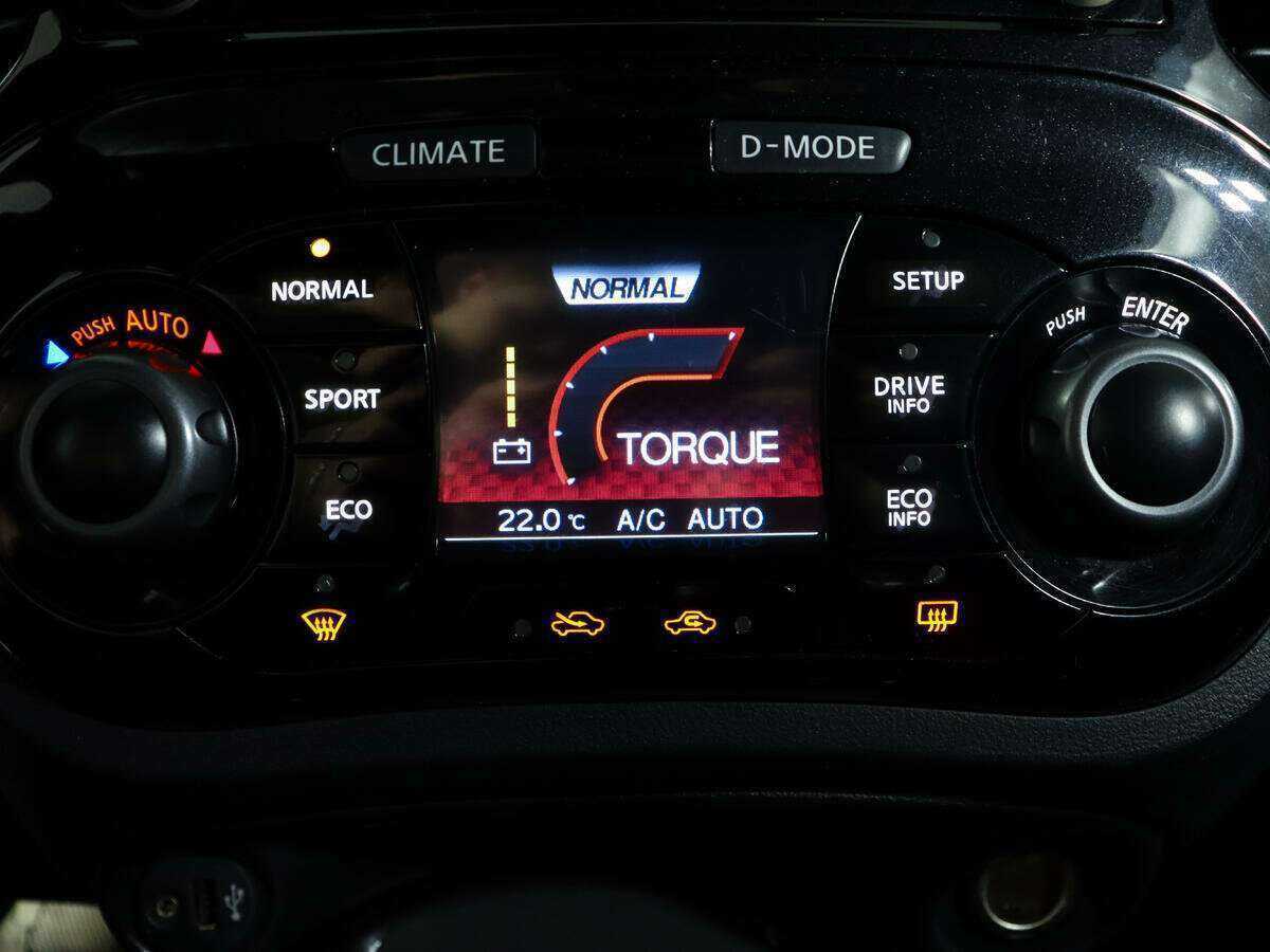 Nissan Juke Nismo с пробегом — 2013 год. Фото: #17