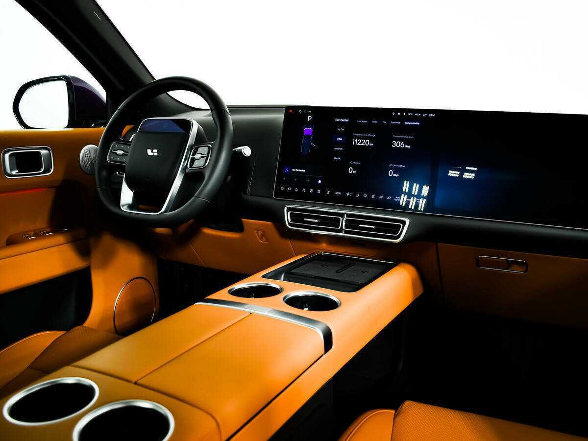 LiXiang L9 с пробегом — 2023 год. Фото: #8