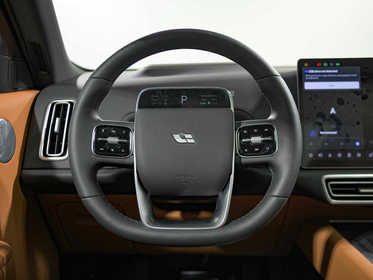 LiXiang L9 с пробегом — 2024 год. Фото: #8