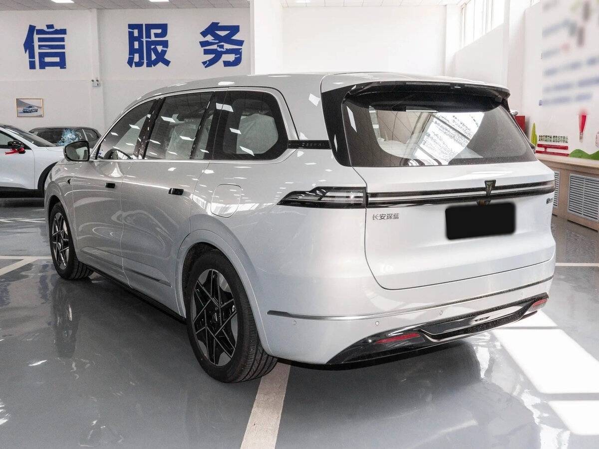 Changan Deepal S09 с пробегом — 2025 год. Фото: #3