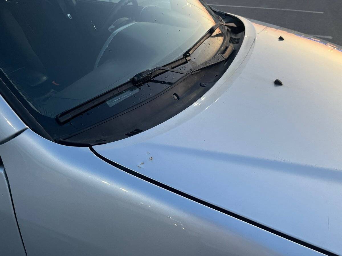 Chery Tiggo (T11) с пробегом — 2012 год. Фото: #11