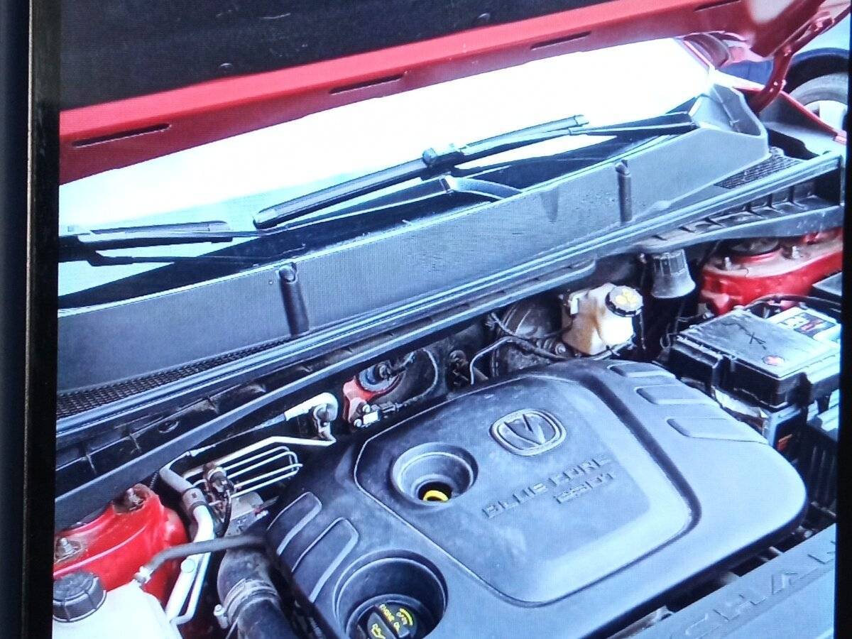 Changan CS55 с пробегом — 2019 год. Фото: #4