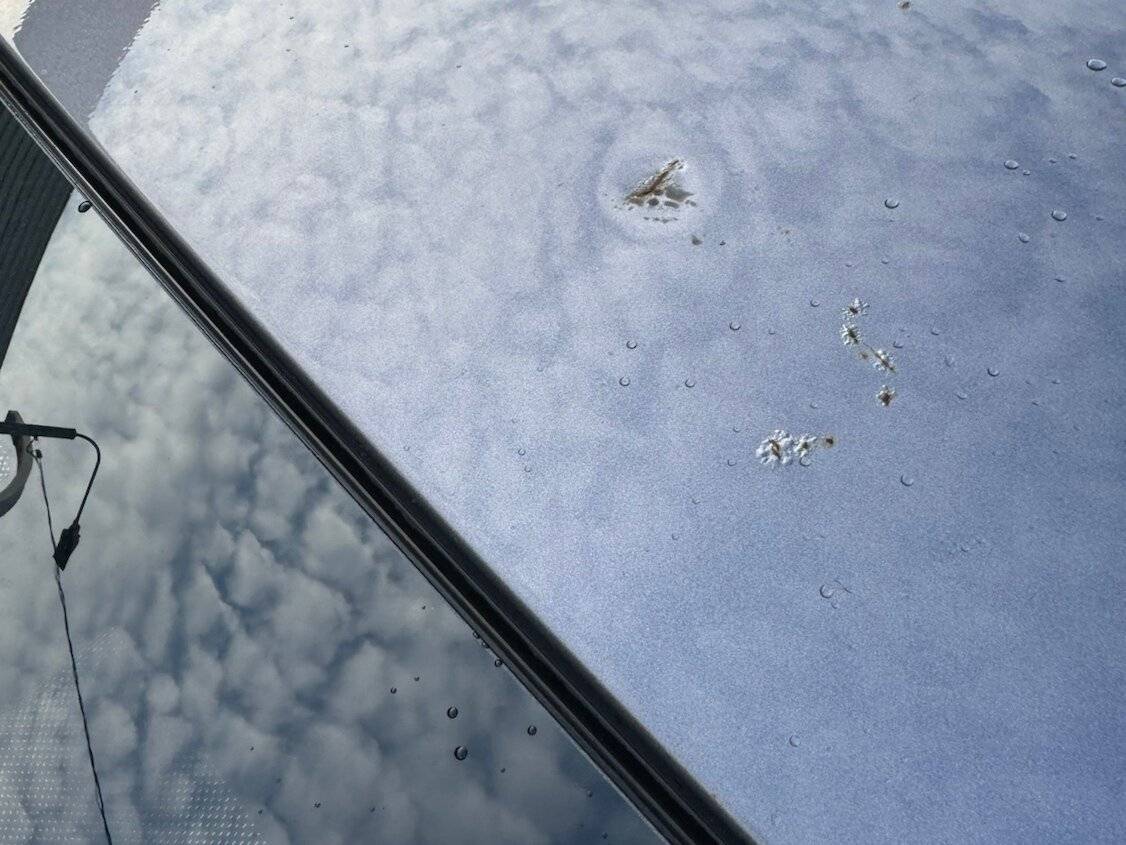 Chery Tiggo 7 Pro с пробегом — 2022 год. Фото: #9