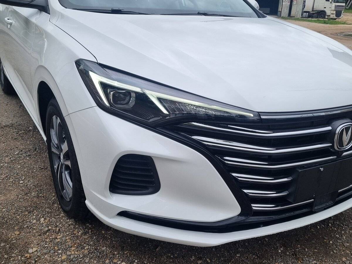 Changan Eado Plus с пробегом — 2024 год. Фото: #8