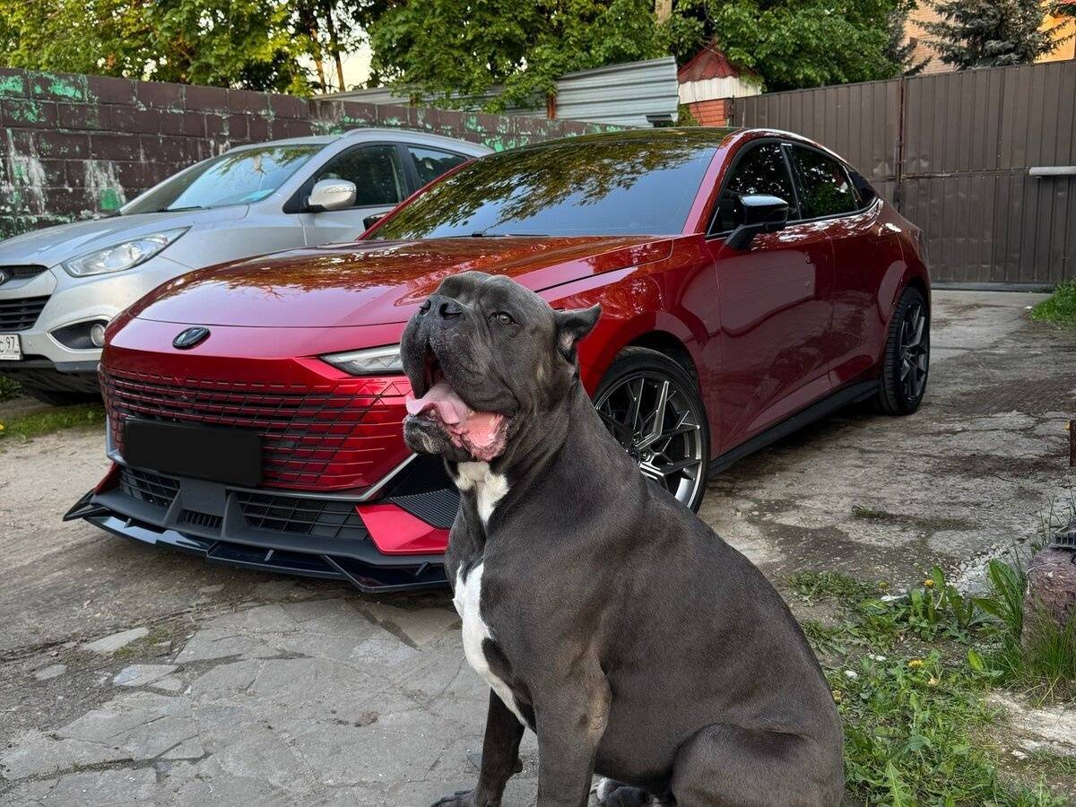 Changan UNI-V с пробегом — 2022 год. Фото: #4