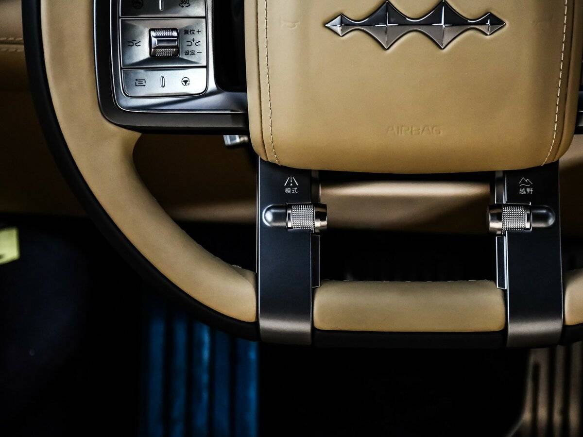 BYD FangChengBao Leopard 8 с пробегом — 2024 год. Фото: #39