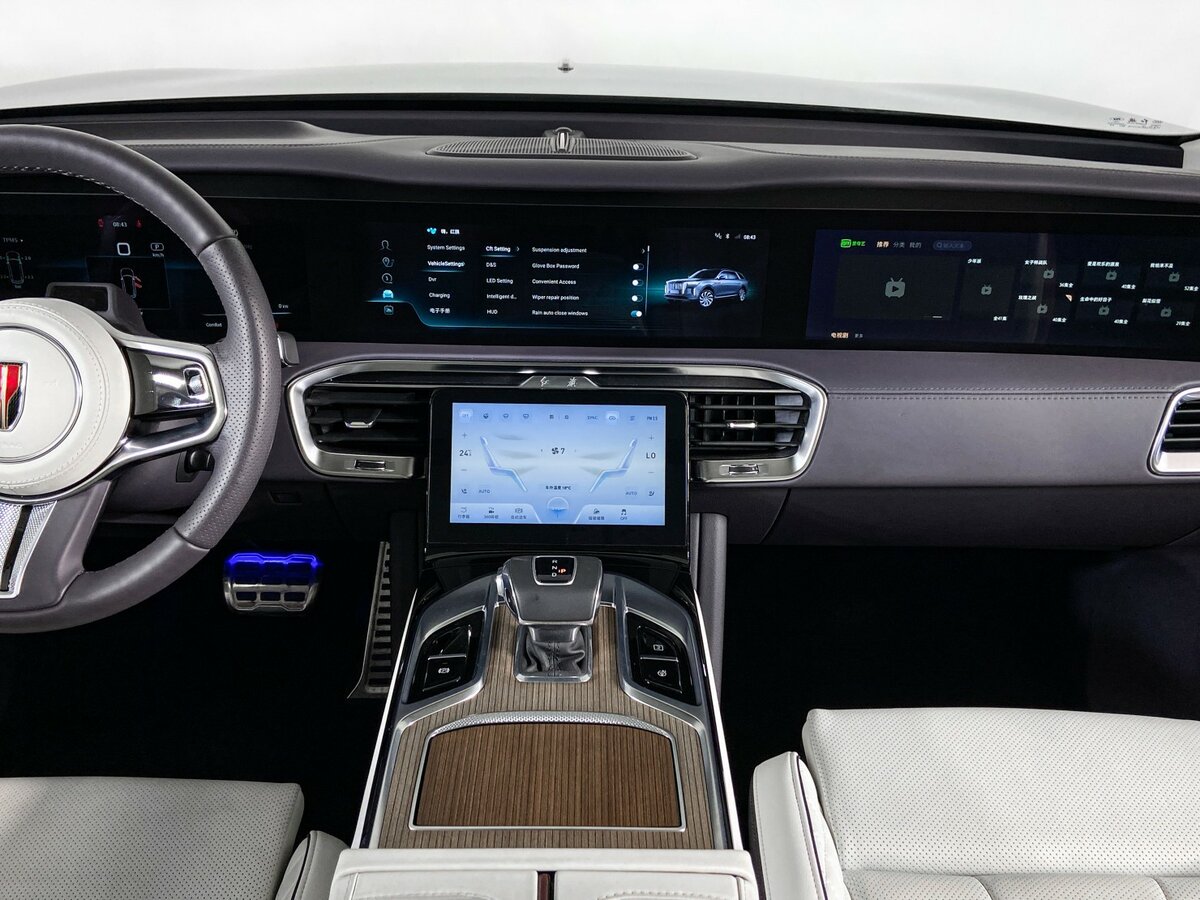 Hongqi E-HS9 с пробегом — 2023 год. Фото: #11