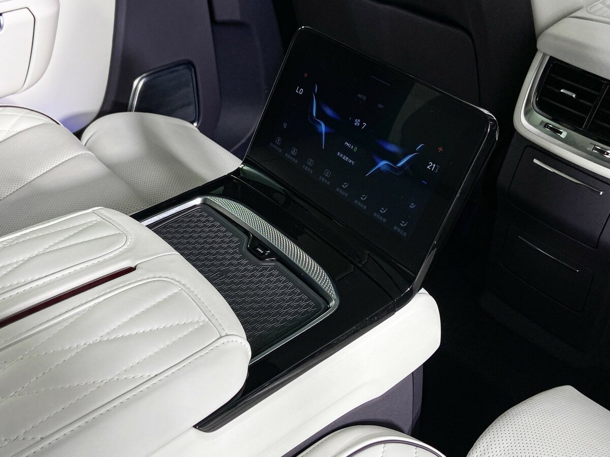 Hongqi E-HS9 с пробегом — 2023 год. Фото: #13