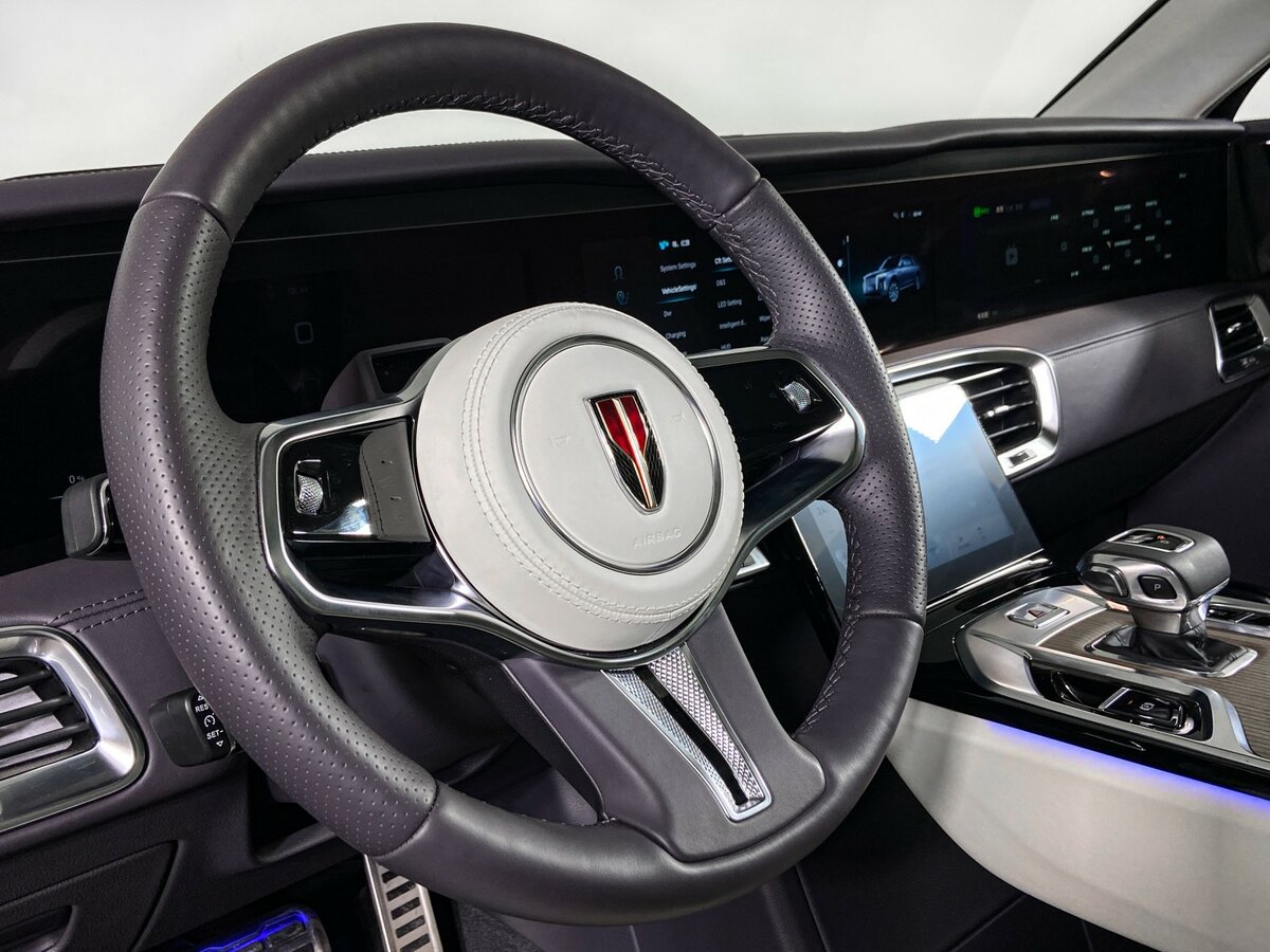 Hongqi E-HS9 с пробегом — 2023 год. Фото: #16