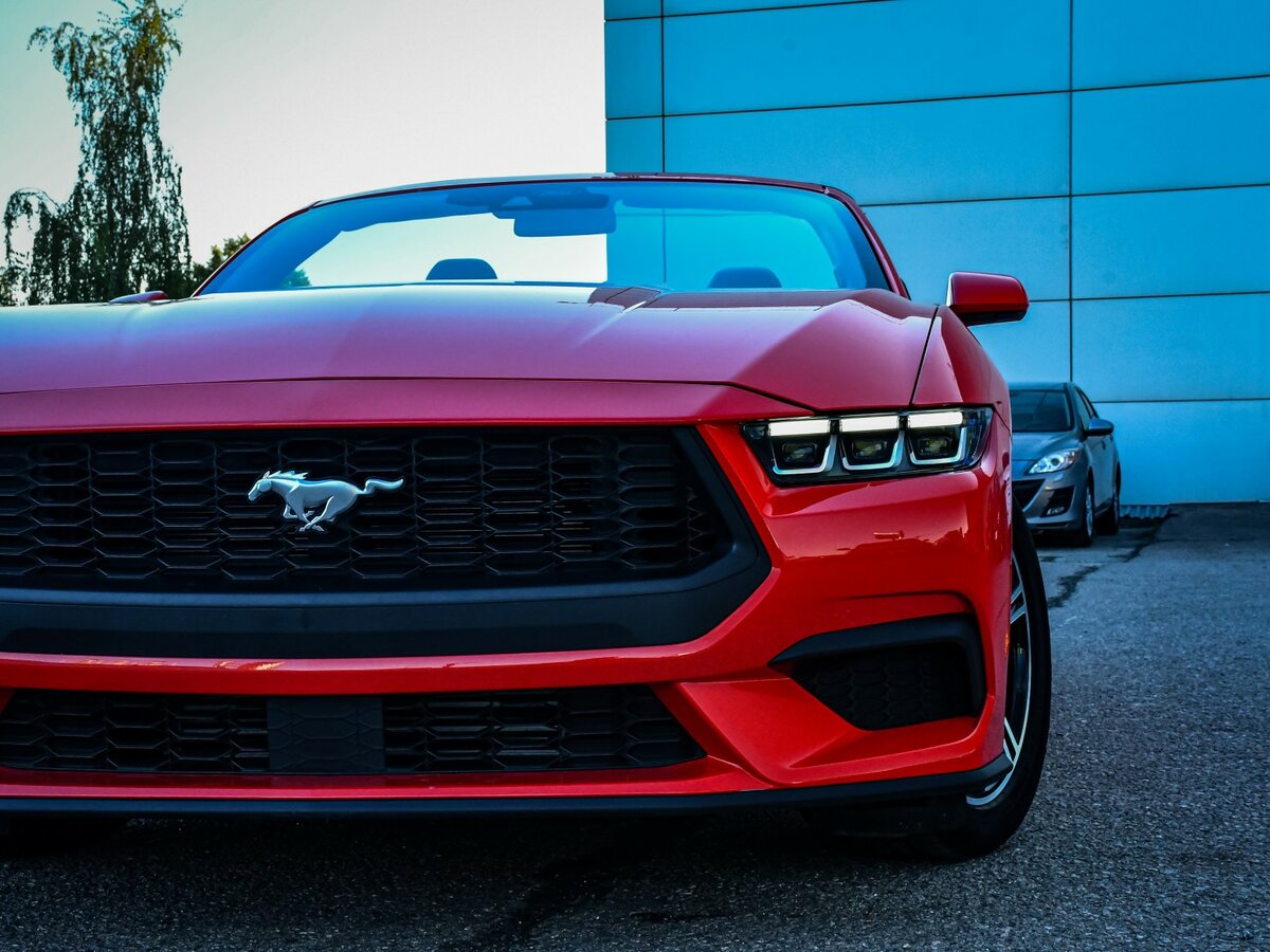Ford Mustang с пробегом — 2024 год. Фото: #22