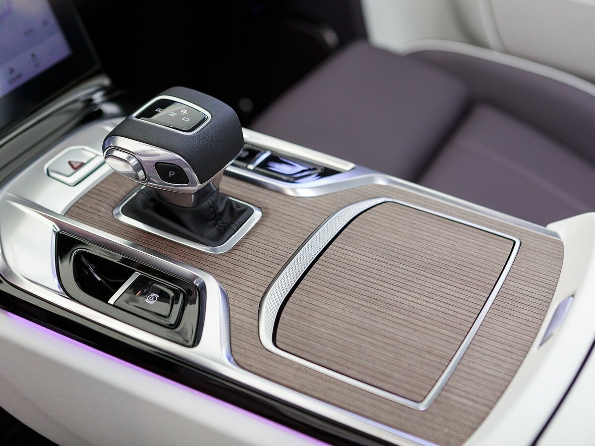 Hongqi E-HS9 с пробегом — 2022 год. Фото: #16