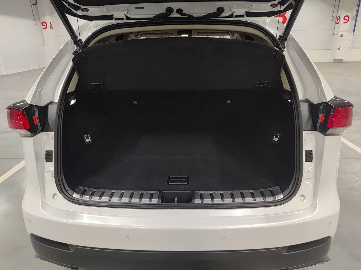 Lexus NX с пробегом — 2018 год. Фото: #9