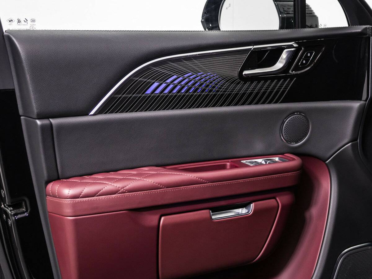 Hongqi E-HS9 с пробегом — 2021 год. Фото: #24