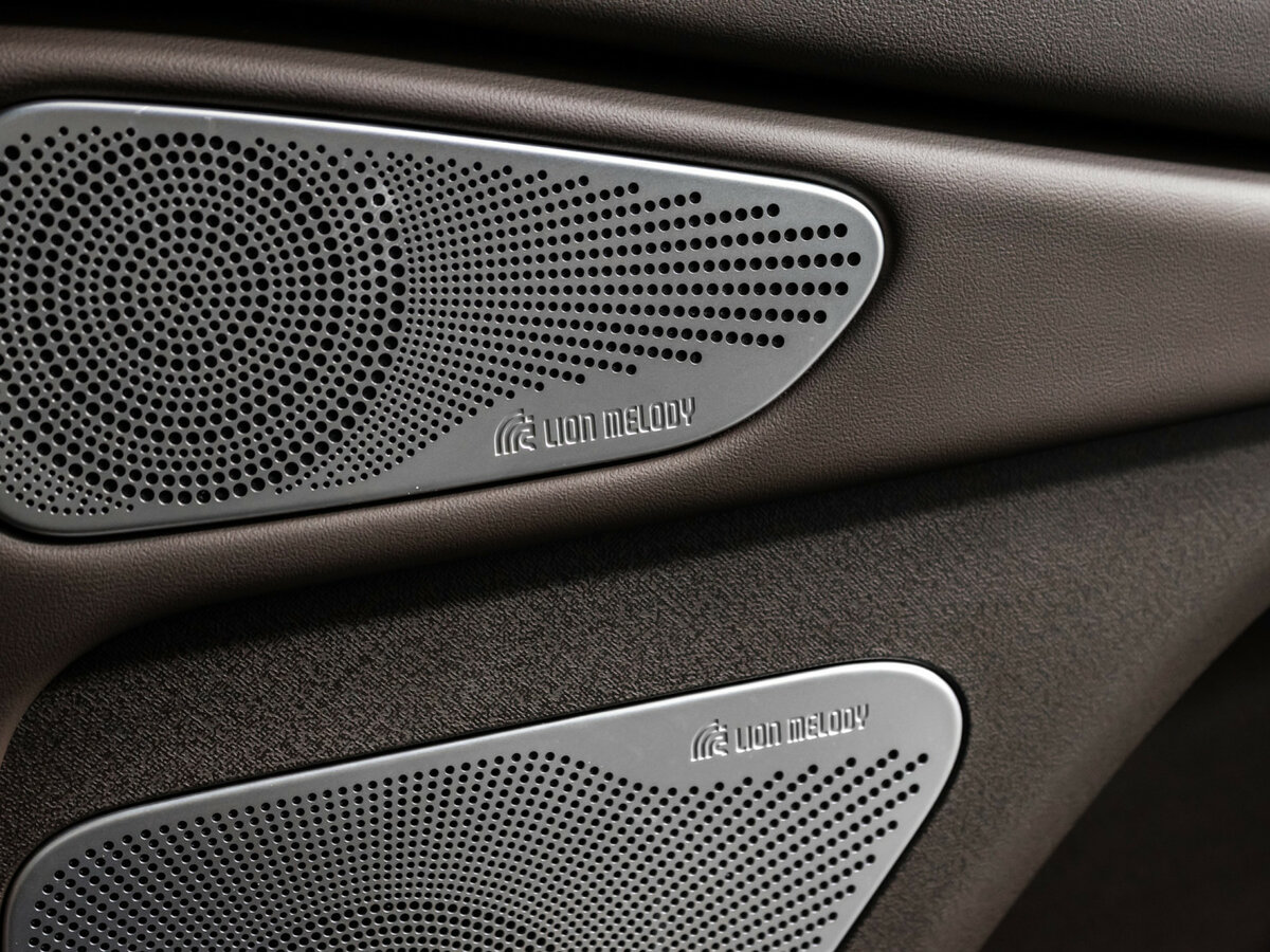 EXEED VX с пробегом — 2024 год. Фото: #15